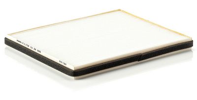 Filter, Innenraumluft