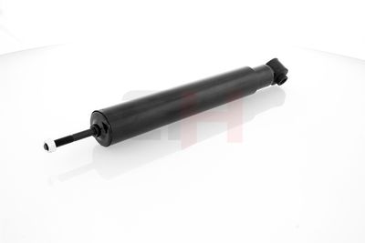 AMORTIZOR GH GH303659 10