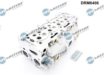 CHIULASA Dr.Motor Automotive DRM6406 2