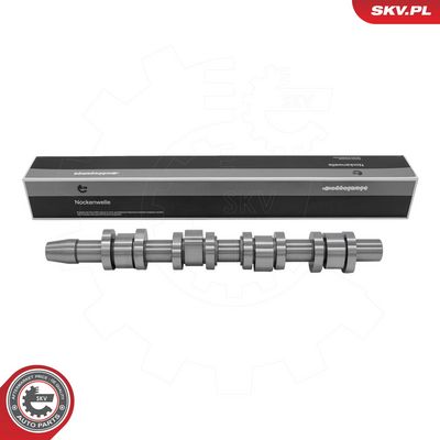 AX CU CAME ESEN SKV 80SKV072 1