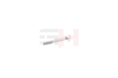 SURUB CAPAT DE AX GH GH391518 36