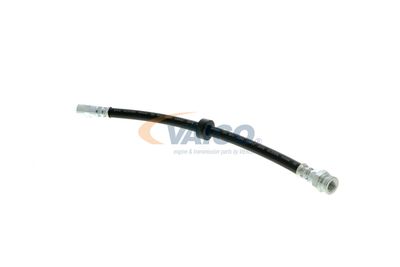 FURTUN FRANA VAICO V104191 16