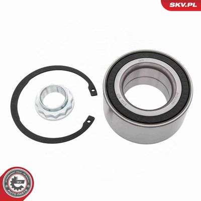 SET RULMENT ROATA ESEN SKV 85SKV080 1