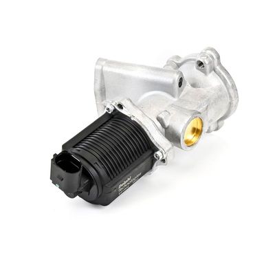 SUPAPA EGR DELPHI EG1064212B1 22