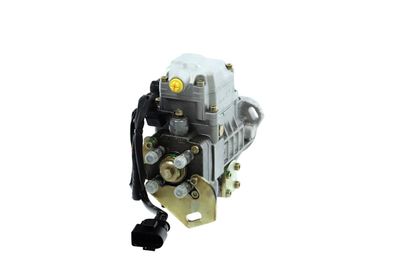 POMPA DE INJECTIE REMANTE 002005000001R 31