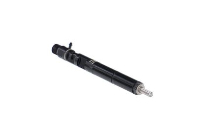 INJECTOR REMANTE 002003000056R 49