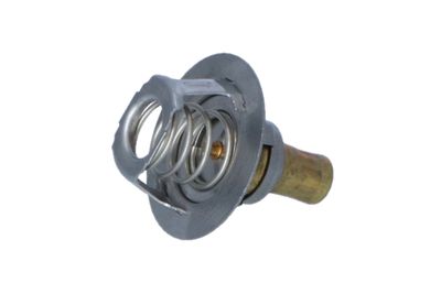 TERMOSTAT LICHID RACIRE NRF 725141 42