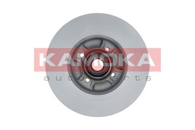 Brake Disc 1031025