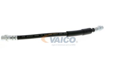 FURTUN FRANA VAICO V104119 32