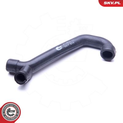 Žarna, karterio alsuoklis