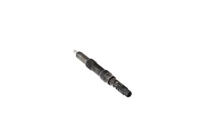 INJECTOR REMANTE 002003000045R 21