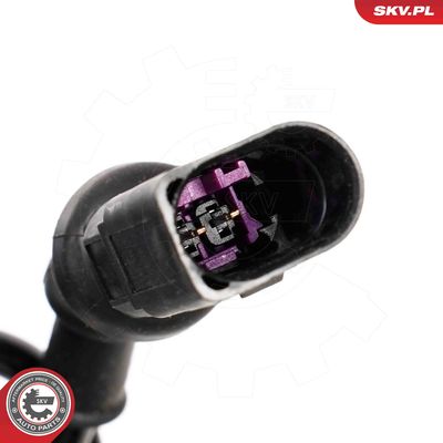 Air Suspension Strut 58SKV700