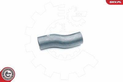 FURTUN EAR SUPRAALIMENTARE