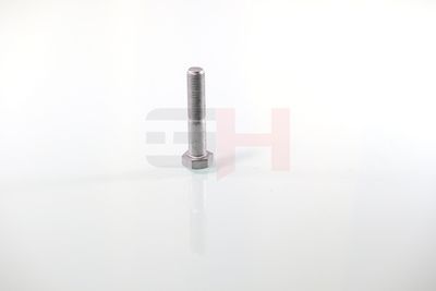SURUB CAPAT DE AX GH GH392360 59