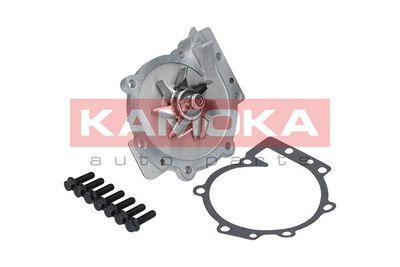 Water Pump, engine cooling T0270