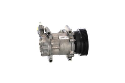 COMPRESOR CLIMATIZARE REMANTE 005001000169R 45