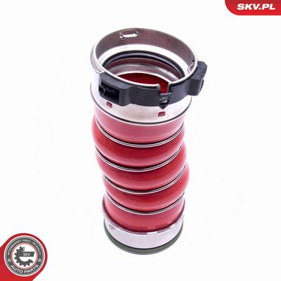 FURTUN EAR SUPRAALIMENTARE ESEN SKV 43SKV219 2