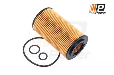 alyvos filtras 1F0051 ProfiPower