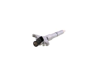 INJECTOR REMANTE 002003002384R 29
