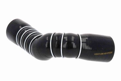 FURTUN EAR SUPRAALIMENTARE ACKOJA A389603 3