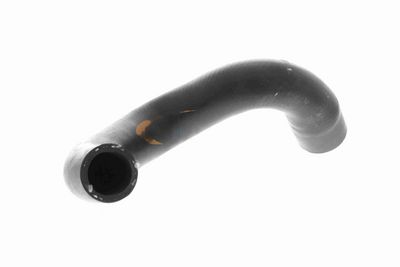 FURTUN RADIATOR VAICO V461233 5