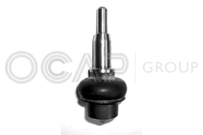 Шарнир независимой подвески / поворотного рычага OCAP 0400256 для AUSTIN METRO