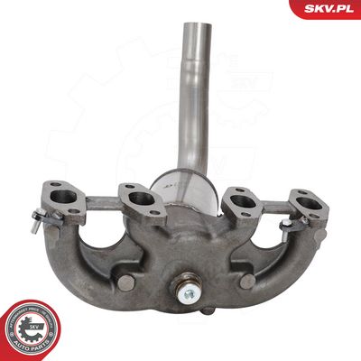 Katalyzátor ESEN SKV 62SKV165