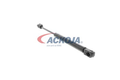 AMORTIZOR PORTBAGAJ ACKOJA A320134 44