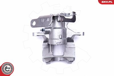 Brake Caliper 50SKV034