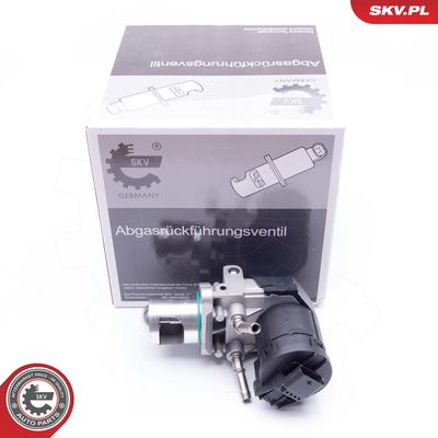 SUPAPA EGR ESEN SKV 14SKV169 3