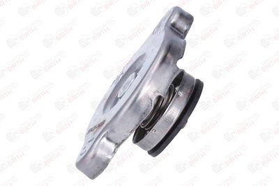 BUSON RADIATOR BIRTH 80429 4