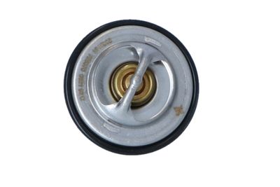 TERMOSTAT LICHID RACIRE NRF 725070 36