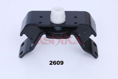 ASHIKA Lagerung, Motor