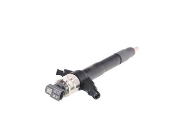 INJECTOR REMANTE 002003001019R 33