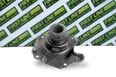 окачване, двигател FIRST LINE FEM3143