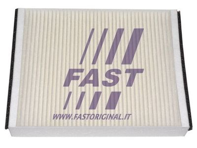 FAST FT37343 Фильтр салона  для FORD  (Форд Фокус)