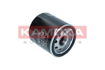 Oil Filter F118501