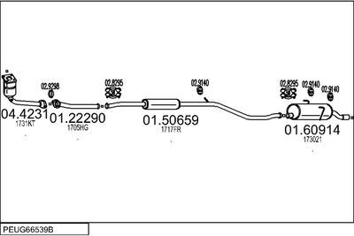 SISTEM DE ESAPAMENT MTS PEUG66539B015704