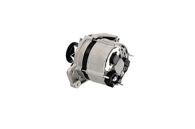 GENERATOR / ALTERNATOR REMANTE 011003000469R 19