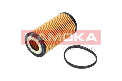 Oil Filter F110501