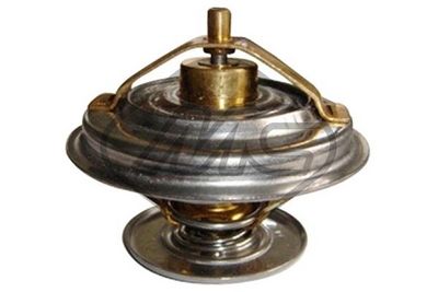 TERMOSTAT LICHID RACIRE