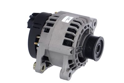 GENERATOR / ALTERNATOR REMANTE 011003000013R 48