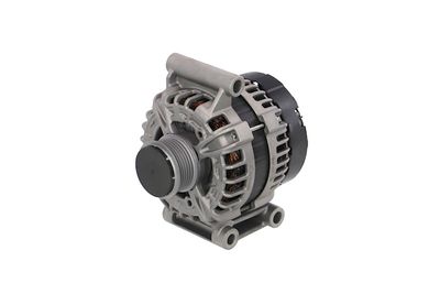 GENERATOR / ALTERNATOR REMANTE 011003000029R 8