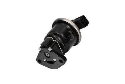 SUPAPA EGR Kavo Parts EEG2006 24