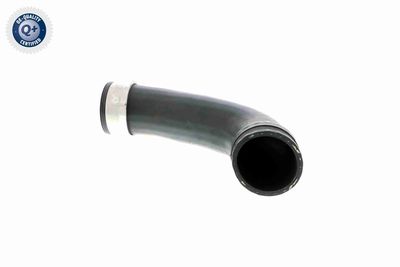 LADELUFTSCHLAUCH VAICO V102889 2