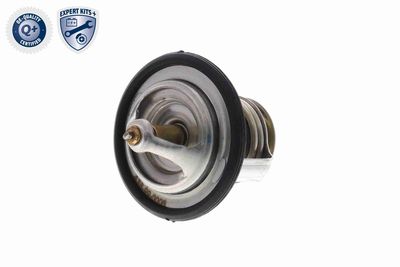 TERMOSTAT LICHID RACIRE ACKOJA A38990006 5