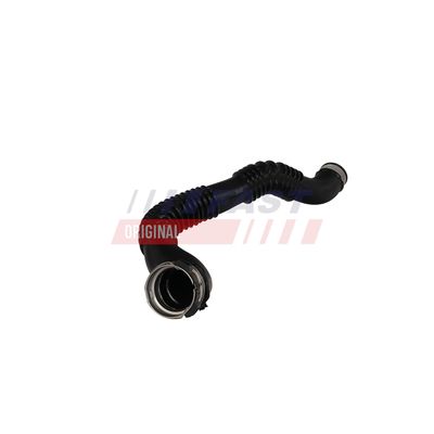 FURTUN EAR SUPRAALIMENTARE FAST FT01062 7