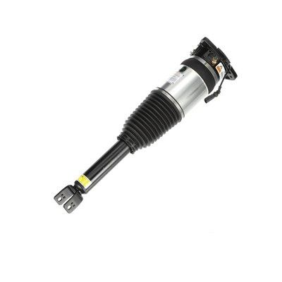 LUFTFEDERBEIN Arnott AS2969 61