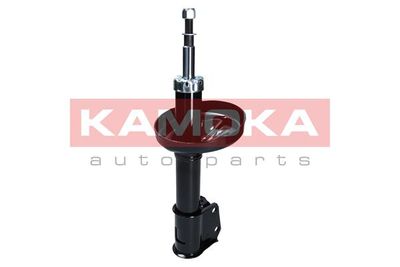 Shock Absorber 2001056