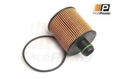 alyvos filtras 1F0166 ProfiPower